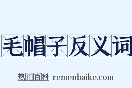 毛帽子反义词是什么意思的图片